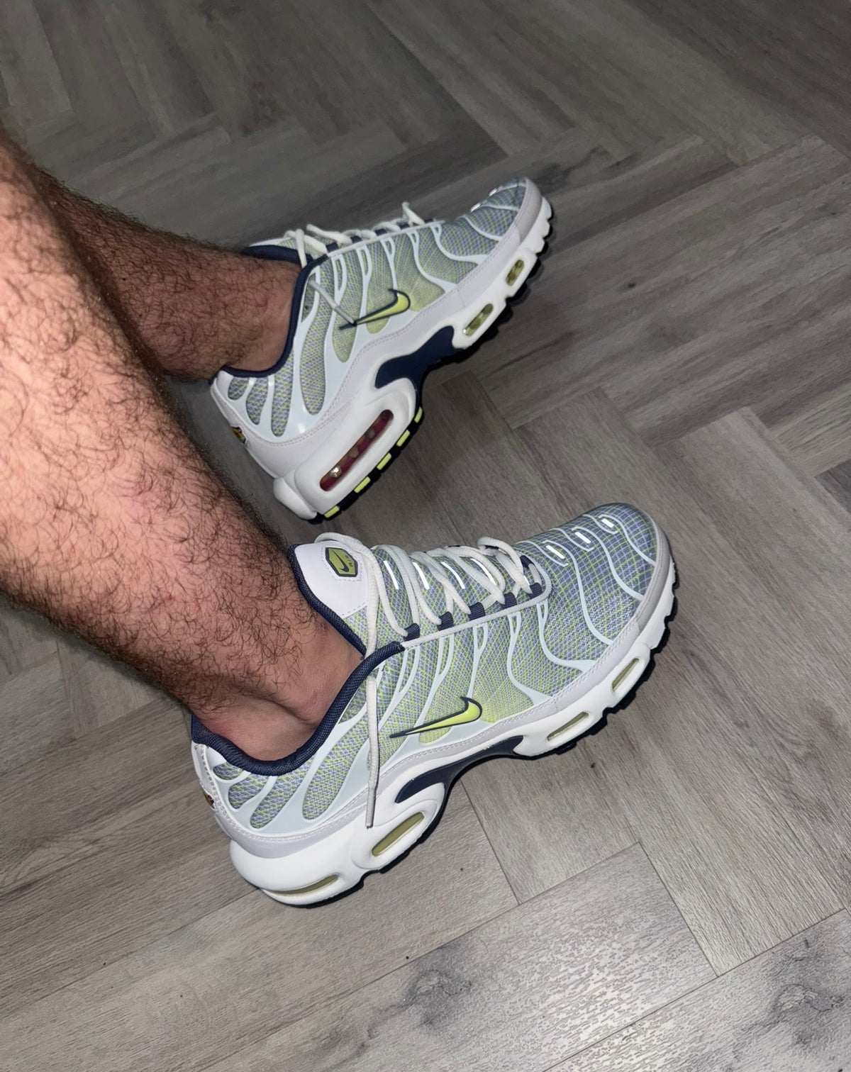 Nike Air Max Plus